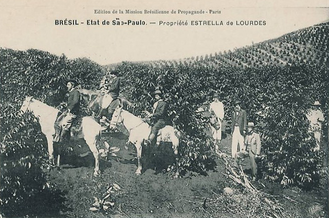 Em postal produzido na França, uma fazenda paulista de café