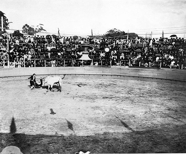 Uma das raríssimas fotos de touradas em São Paulo, ocorrida em 1902 (foto: Instituto Moreira Salles)