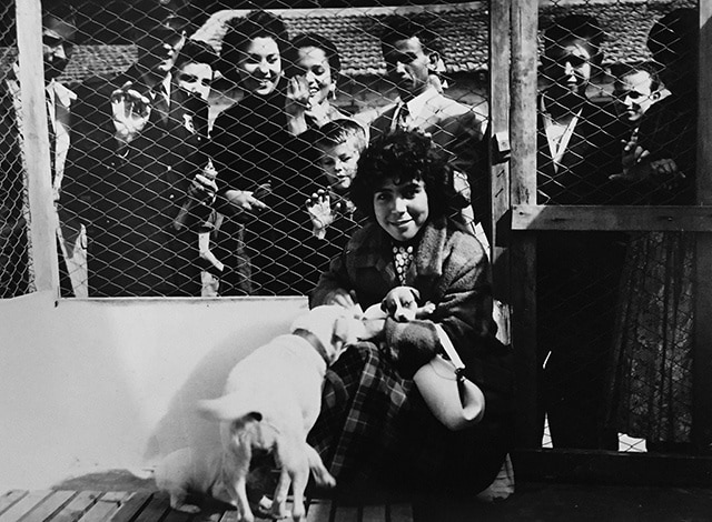 Visitantes no canil da UIPA em 1955 (clique na foto para ampliar)
