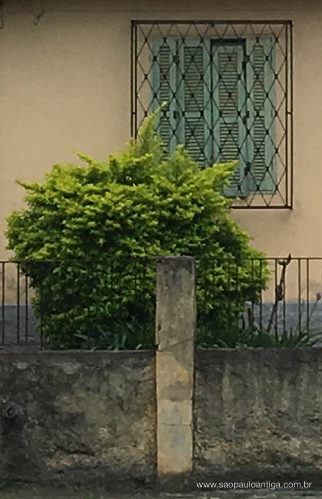 Foto: Douglas Nascimento / São Paulo Antiga